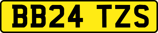 BB24TZS