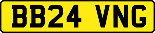 BB24VNG