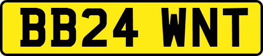 BB24WNT