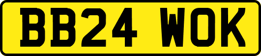 BB24WOK