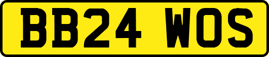 BB24WOS