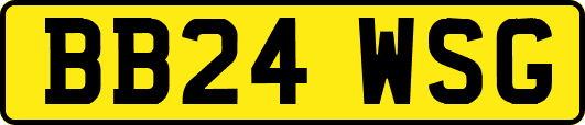 BB24WSG