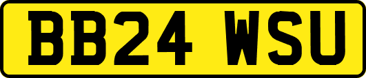 BB24WSU
