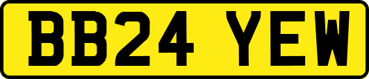 BB24YEW