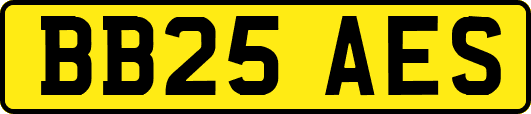 BB25AES