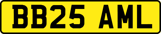 BB25AML