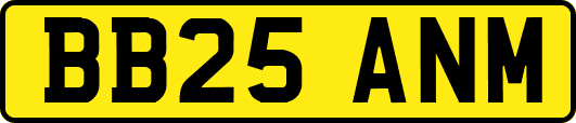 BB25ANM