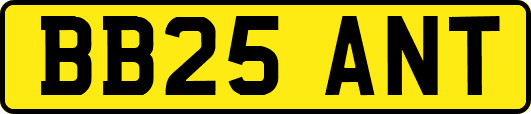 BB25ANT