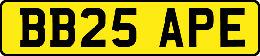 BB25APE