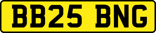 BB25BNG