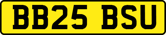 BB25BSU