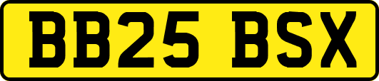BB25BSX