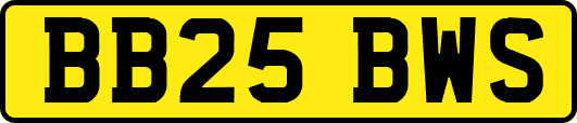 BB25BWS