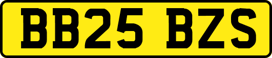 BB25BZS