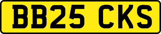 BB25CKS