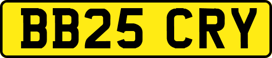 BB25CRY