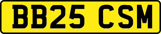 BB25CSM