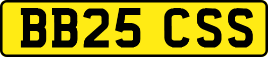 BB25CSS