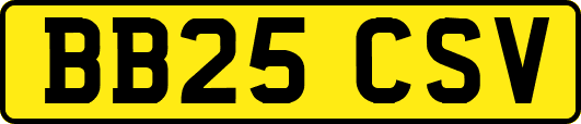 BB25CSV