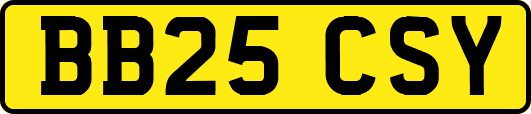 BB25CSY