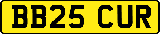 BB25CUR