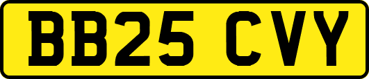 BB25CVY