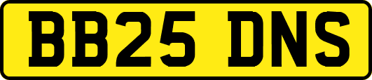 BB25DNS