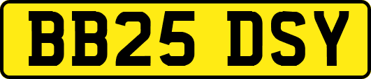BB25DSY