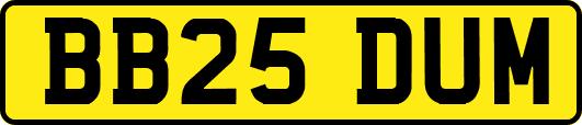 BB25DUM