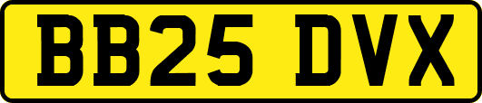 BB25DVX