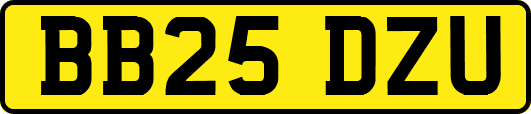 BB25DZU