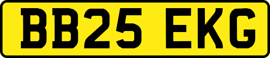 BB25EKG