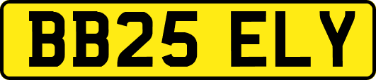 BB25ELY