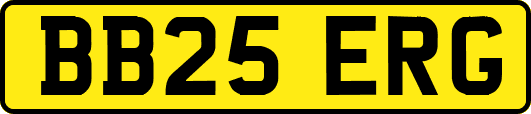 BB25ERG