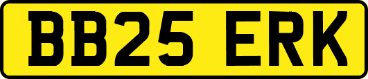 BB25ERK