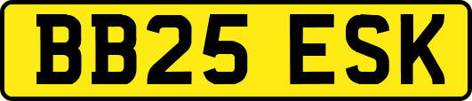 BB25ESK
