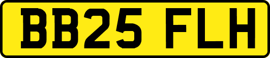 BB25FLH