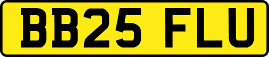 BB25FLU