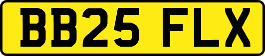 BB25FLX