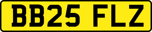 BB25FLZ