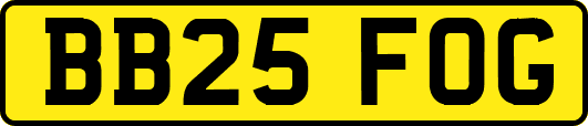 BB25FOG