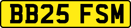 BB25FSM
