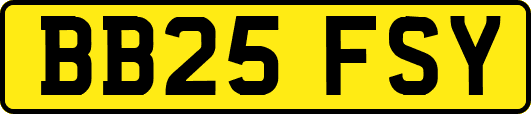 BB25FSY