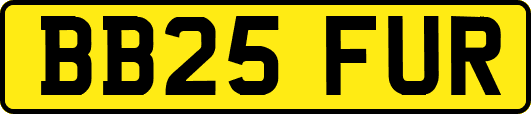 BB25FUR