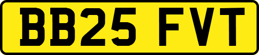 BB25FVT