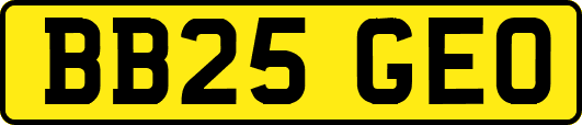 BB25GEO