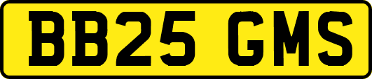 BB25GMS