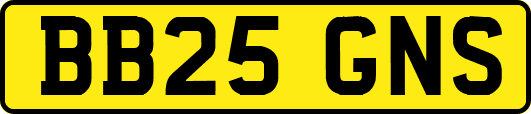 BB25GNS
