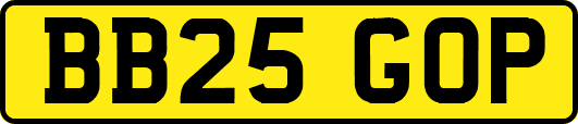 BB25GOP