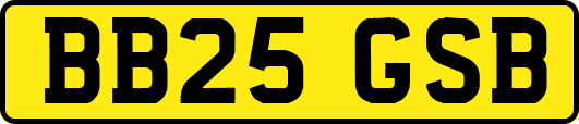 BB25GSB